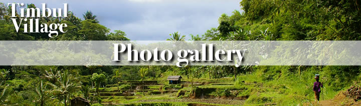 �o�����e�B���u�����̃t�H�g�M�������[