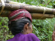 �̂Ȃ���̐����l��