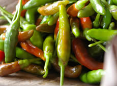 ���R���̂܂܂̖��