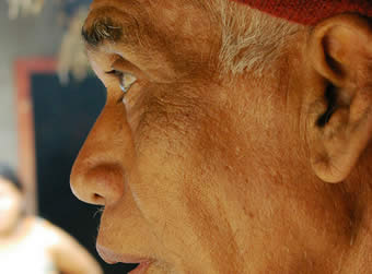 �e�B���u�����̃t�H�g�M�������[