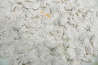 Timbul village products / ginger