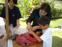 �c�A�[�v���O�����^�R�[�q�[���̌�