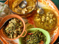 Eco tour program�^�ƒ뗿������낤