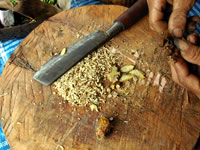 �G�R�c�A�[�^�I�[�K�j�b�N���i���̌�