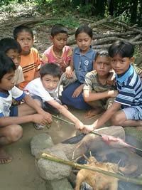 �G�R�c�A�[�^�L�b�Y�v���O����