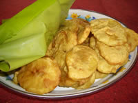 �G�R�c�A�[�v���O�����^�ƒ�̂��َq