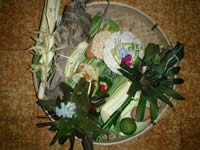 �G�R�c�A�[�v���O�����^�������̂��َq