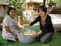 �G�R�c�A�[�^�΂�����̌�